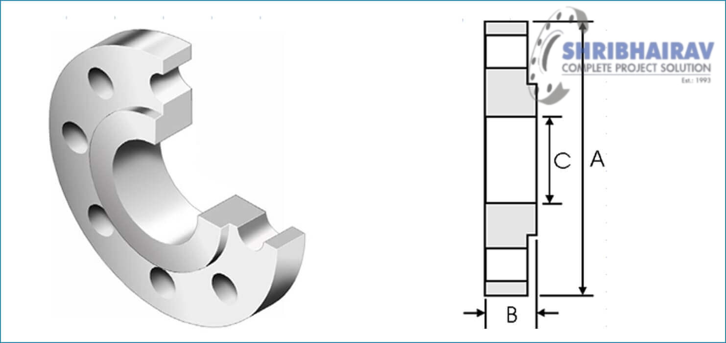 BS-10 Flanges